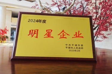 新春新景新氣象 | 景興紙業在平湖三干大會上喜摘榮譽！